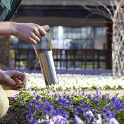 De Wiltfang Foxgloves Works Groen -Plantaardige Benodigdheden image 107