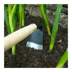 Plantaardige Benodigdheden -Plantaardige Benodigdheden image 109