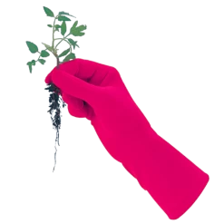 De Wiltfang Foxgloves Original -Plantaardige Benodigdheden image 89