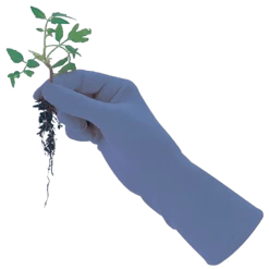 De Wiltfang Foxgloves Original -Plantaardige Benodigdheden image 90