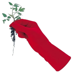 De Wiltfang Foxgloves Original -Plantaardige Benodigdheden image 91