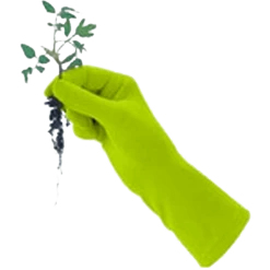 De Wiltfang Foxgloves Original -Plantaardige Benodigdheden image 92