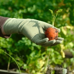 De Wiltfang Foxgloves Original -Plantaardige Benodigdheden image 94